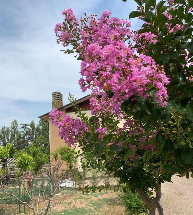 Agriturismo Monteroseo Bedizzole Exterior foto